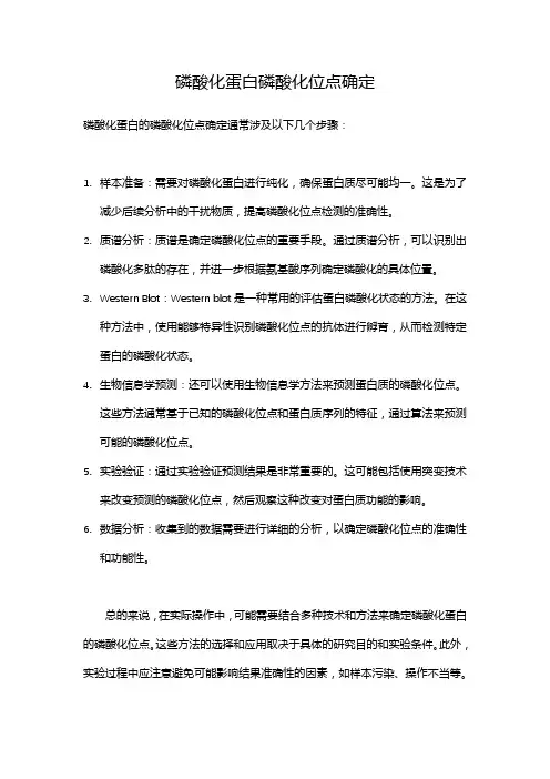 磷酸化蛋白磷酸化位点确定