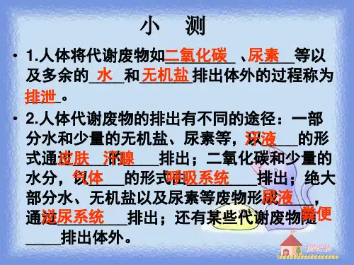 生物七下《尿的形成与排出》ppt