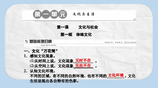 高中政治第一课文化与社会第一框体味文化课件新人教版必修3