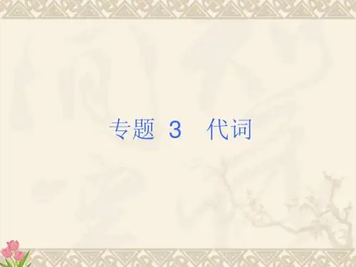 山东省泰安市新城实验中学2015年英语中考复习课件 代词1