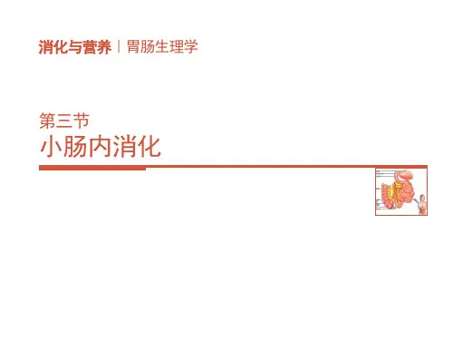 消化生理