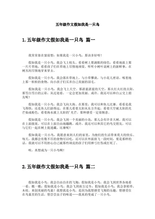 五年级作文假如我是一只鸟