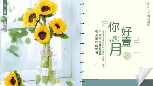 一月你好问候简约绿色清新ppt