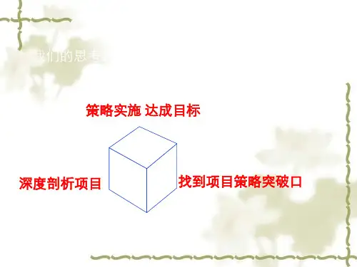 地产项目营销推广提案