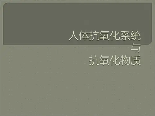 人体抗氧化系统与抗氧化物质