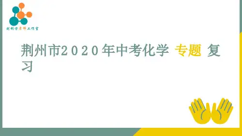 荆州市中考化学专题复习课件：专题九 物质的检验与鉴别第一课时(共23张PPT)