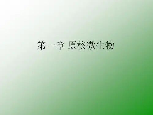 原核生物