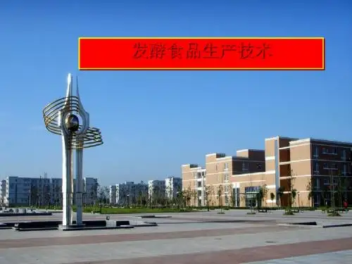 发酵食品生产技术讲义(PPT 46张)