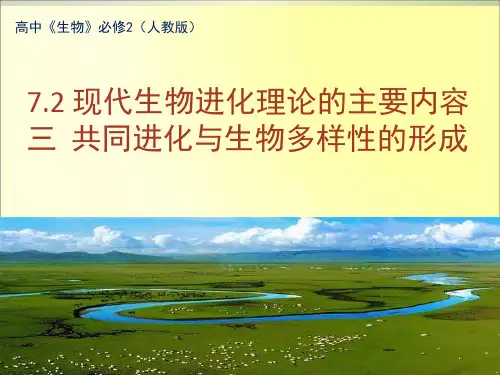 7.2.3共同进化与生物多样性的形成人教版高中生物必修2课件(共28张PPT)