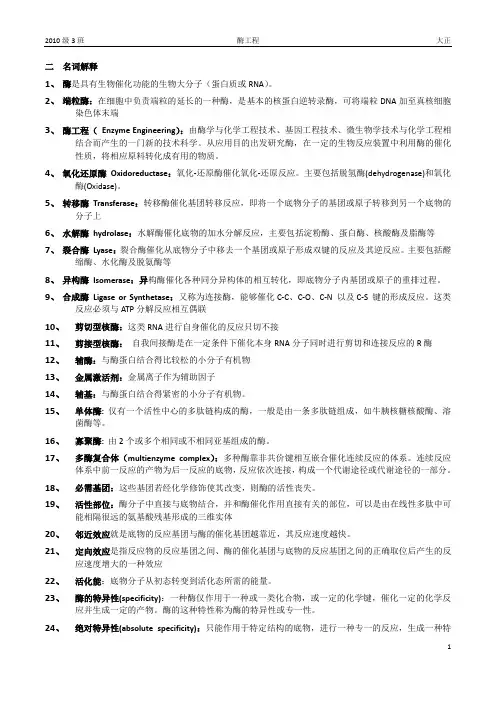 酶工程名词