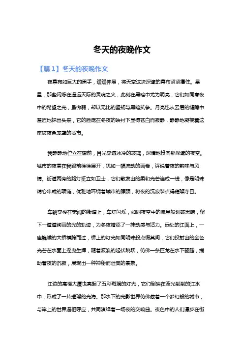 冬天的夜晚作文 2
