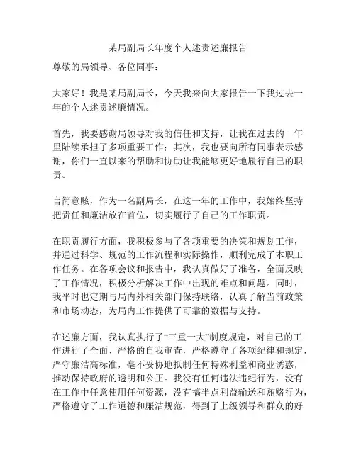 某局副局长年度个人述责述廉报告
