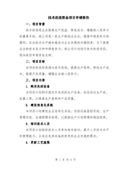 技术改造资金项目申请报告