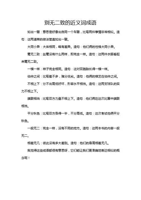 别无二致的近义词成语