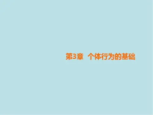 组织行为学第3章 个体行为的基础