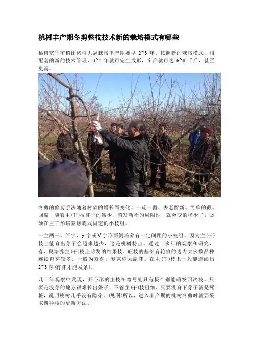 桃树丰产期冬剪整枝技术新的栽培模式有哪些