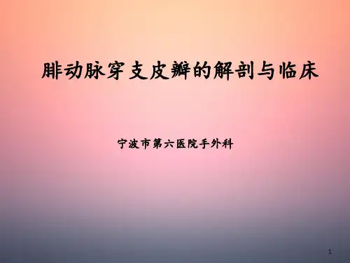 腓动脉穿支皮瓣解剖和临床PPT课件
