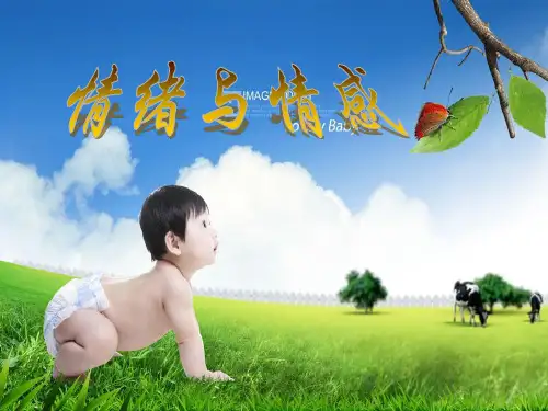 第八章 幼儿情绪与情感