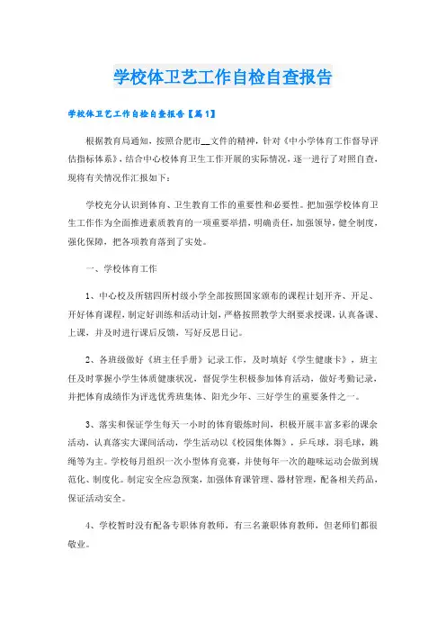 学校体卫艺工作自检自查报告