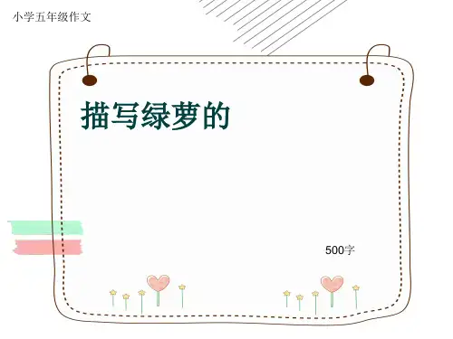 小学五年级作文《描写绿萝的》500字(共7页PPT)