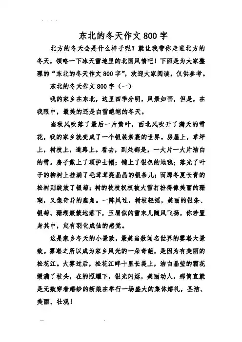 东北的冬天作文800字