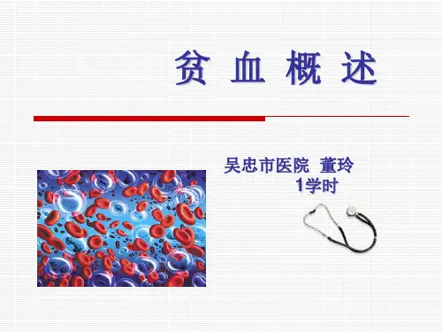 贫血总论