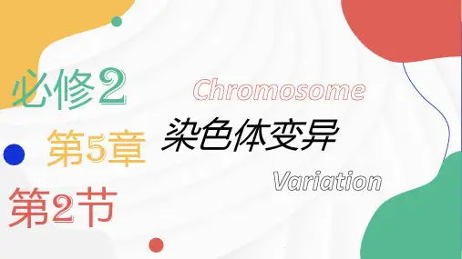 5.2 染色体变异(课件)高一生物下学期课件(2019人教版必修2)