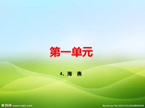 人教部编版九年级语文下册课件：4.海 燕 (共22张PPT)(优质版推荐)