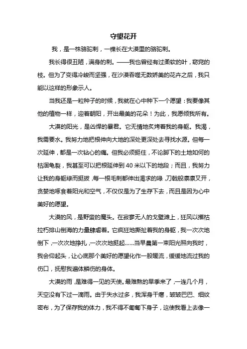 初三作文：守望花开作文800字