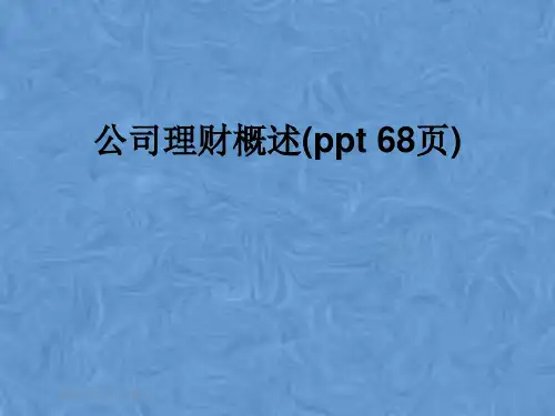 公司理财概述(ppt 68页)