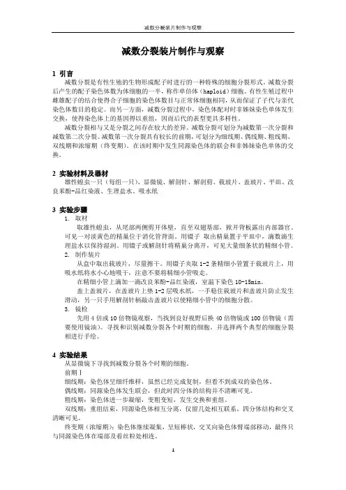 遗传实验 减数分裂