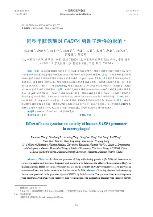 同型半胱氨酸对FABP4启动子活性的影响