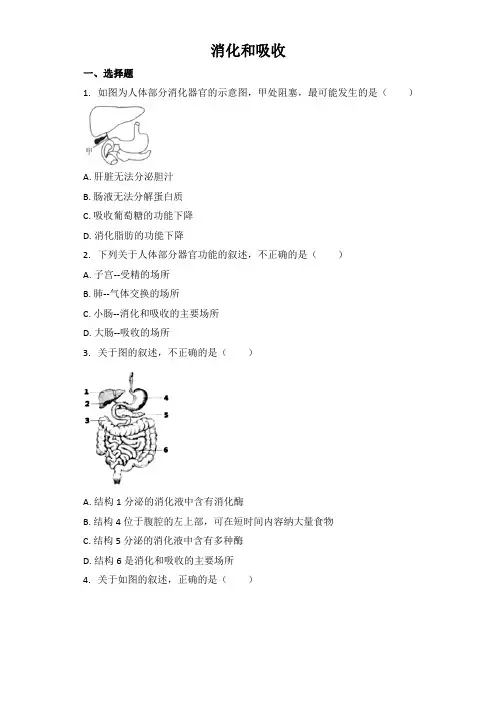 中考生物基础强化训练：消化和吸收（word版含解析）