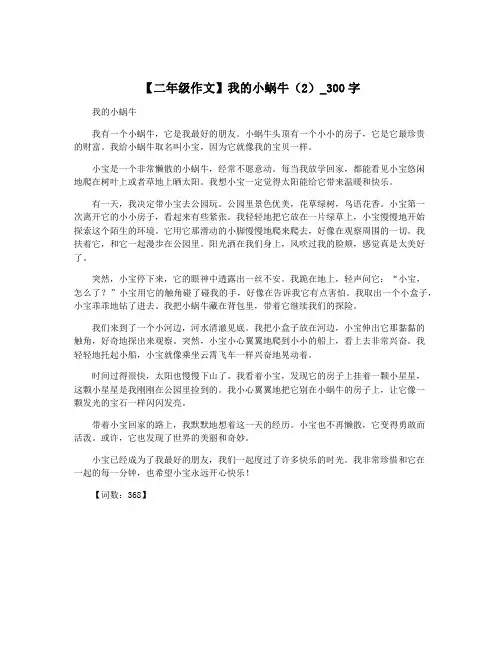 【二年级作文】我的小蜗牛(2)_300字