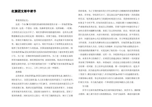 红旗团支部申请书_3