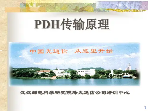 PDH原理