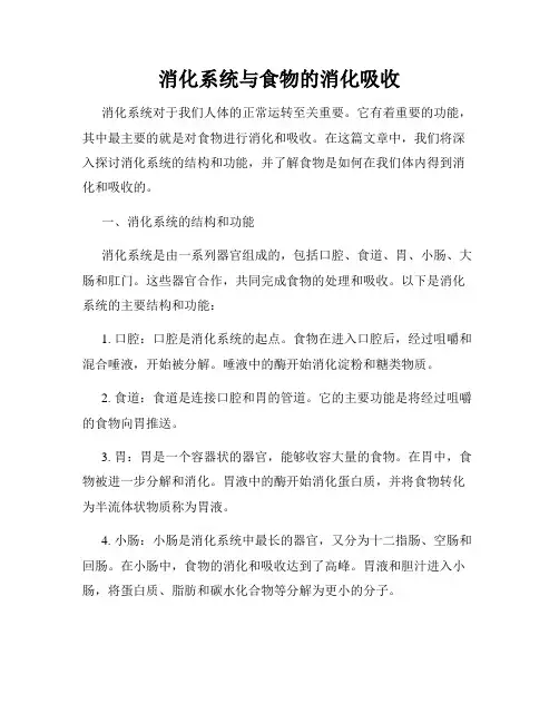 消化系统与食物的消化吸收