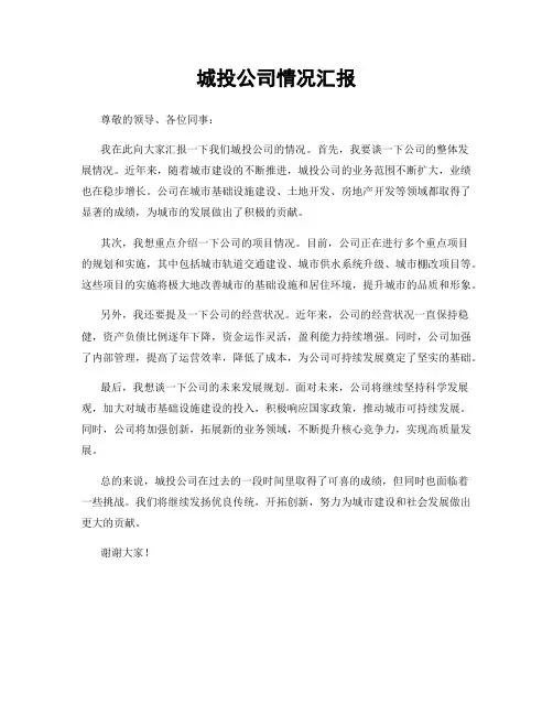 城投公司情况汇报