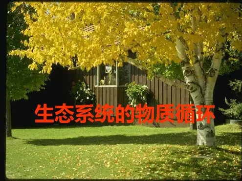生态系统的物质循环PPT完美版1.ppt
