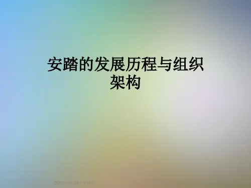 安踏的发展历程与组织架构