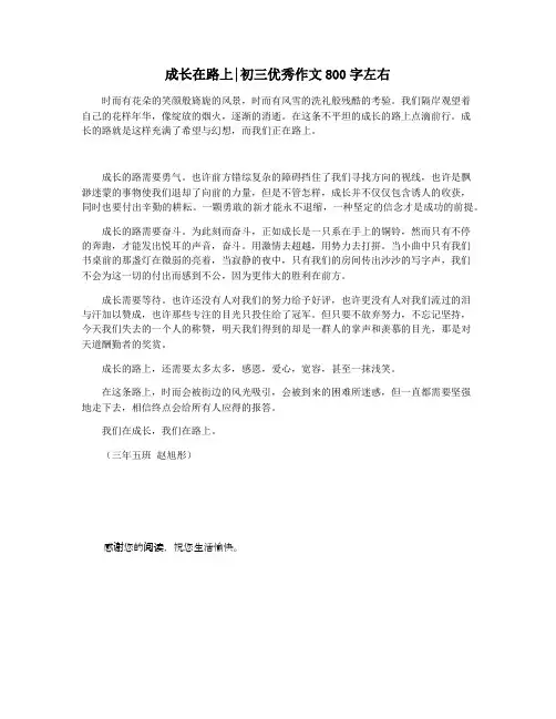 成长在路上初三优秀作文800字左右