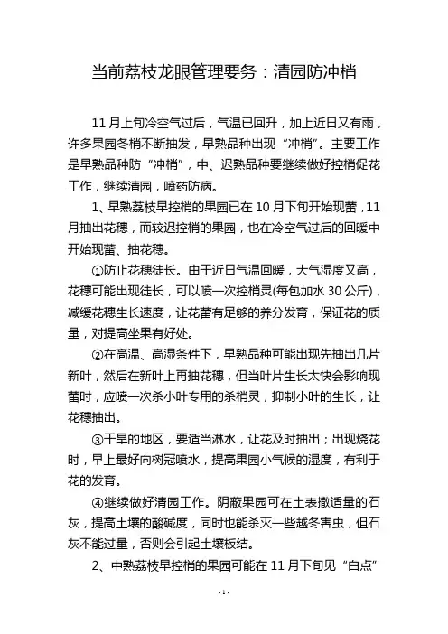 当前荔枝龙眼管理要务：清园防冲梢