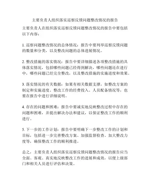 主要负责人组织落实巡察反馈问题整改情况的报告