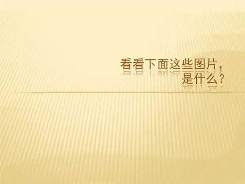 二年级上册美术第3课捏泥巴人美版 (3)