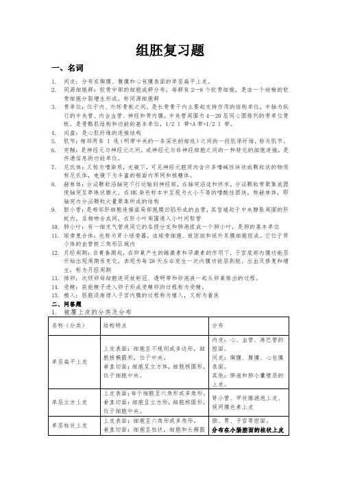 组胚复习题