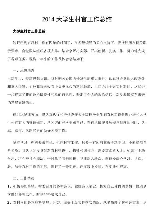 2013大学生村官工作总结