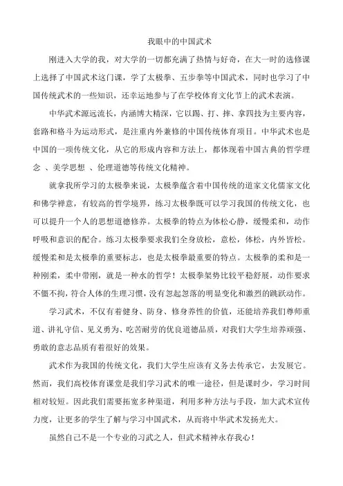 我眼中的中国武术