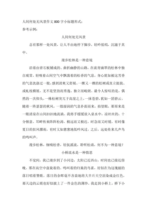 人间何处无风景作文800字小标题形式