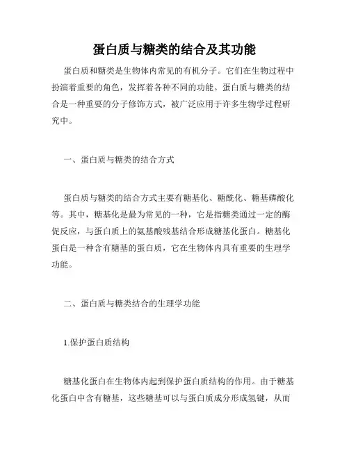 蛋白质与糖类的结合及其功能