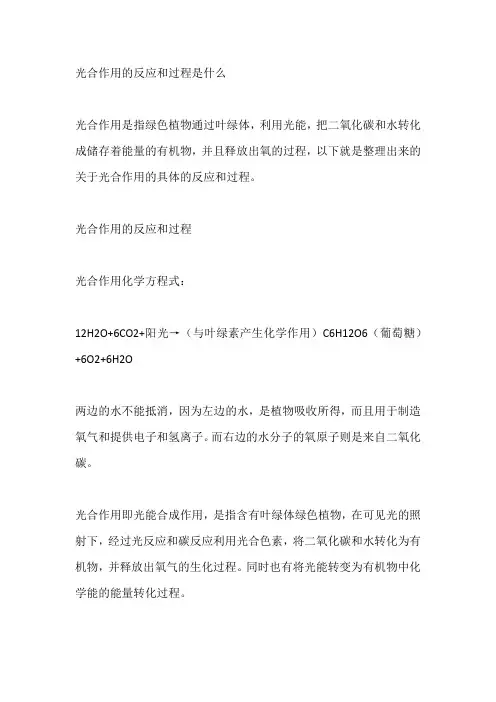 光合作用的反应和过程是什么